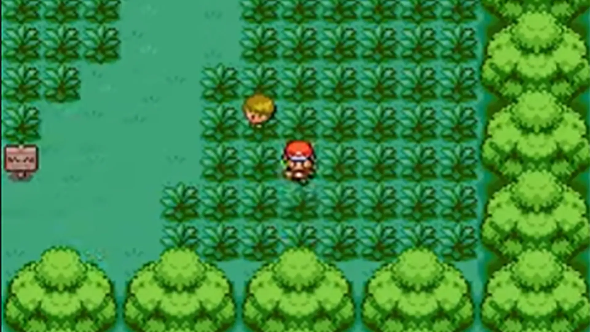 Viridian Forest in Pokémon FireRed and LeafGreen